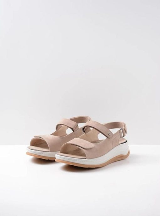 Moonrakermoda.shop44150ffcc4 2