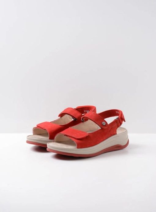 Moonrakermoda.shop4d70bd0f59 2