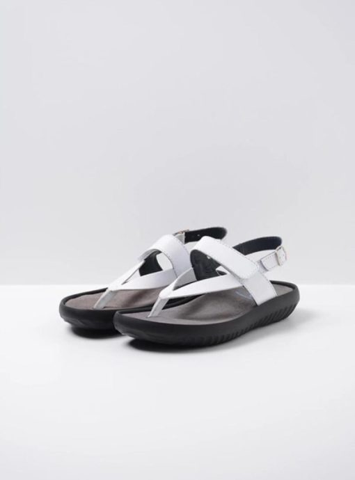 Moonrakermoda.shop5365e2774d 2