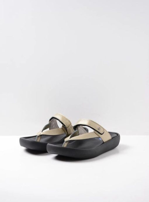 Moonrakermoda.shop5d1dcd5f2b 2
