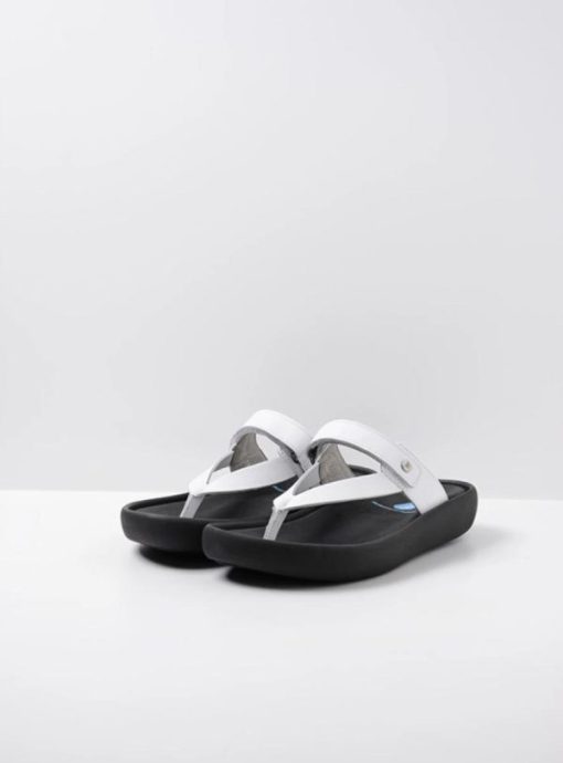 Moonrakermoda.shop5e5e567a03 2