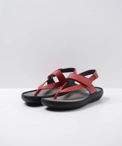 Moonrakermoda.shop64e2077d03 2
