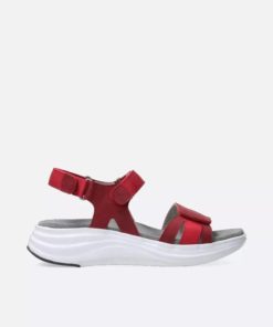 Moonrakermoda.shop6cffe0479b 1
