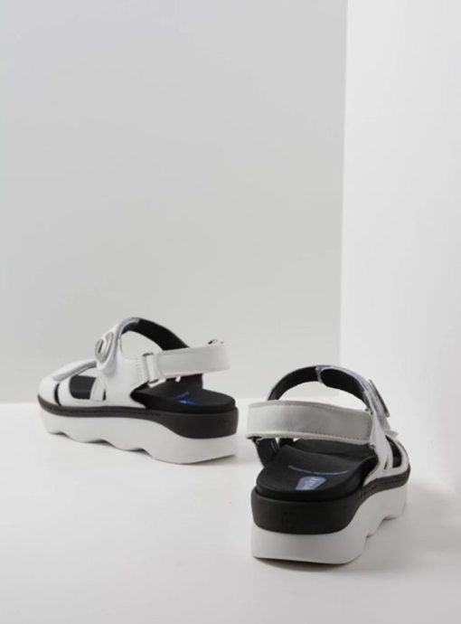 Moonrakermoda.shop80c113c3f2 3