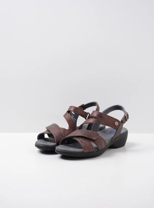 Moonrakermoda.shop8cdf6013dd 2