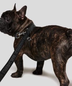 Moonrakermoda.shop3b4f5c16de 2