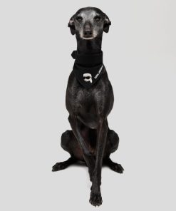 Moonrakermoda.shop71b4828935 2