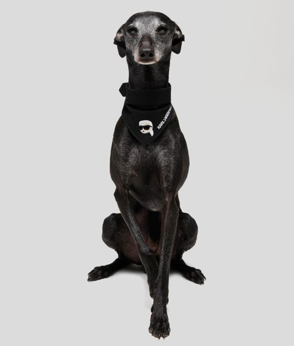 Moonrakermoda.shop71b4828935 2